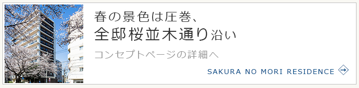 春の景色は圧巻、全邸桜並木通り沿い