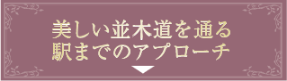 美しい並木道を通る駅までのアプローチ